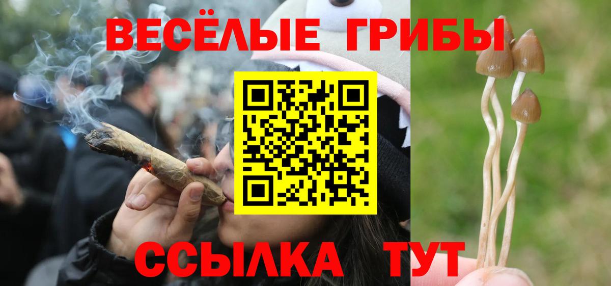 Дербент  Галлюциногенные грибы Psilocybine cubensis  купить наркотик  Вход с VPN  Галлюциногенные грибы Cubensis 
